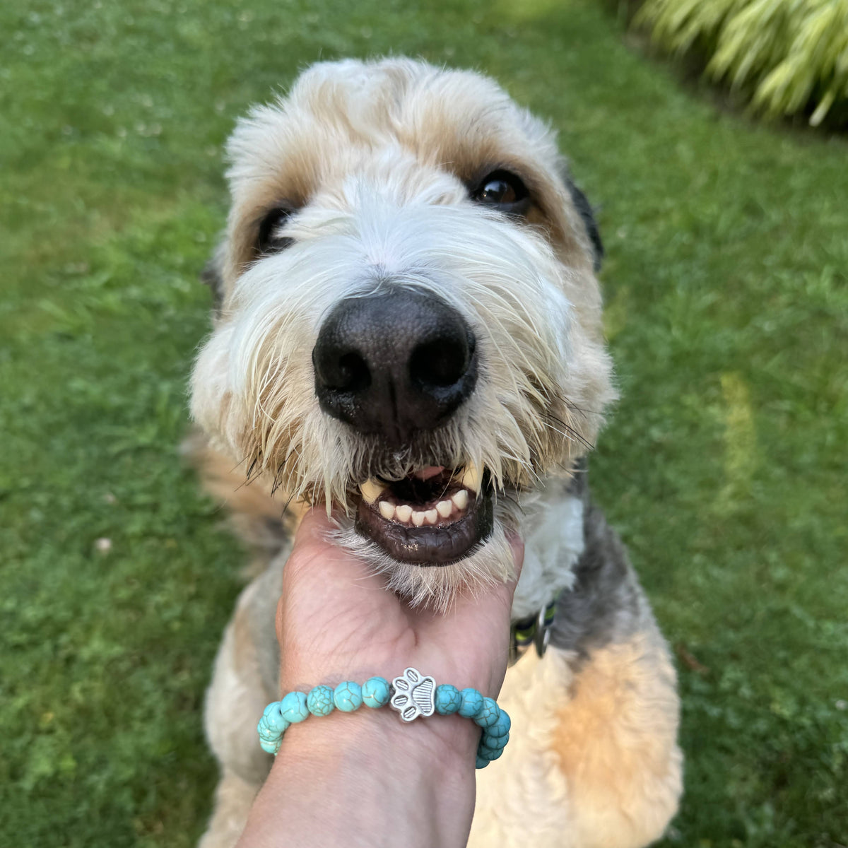 I Love ALL Dogs Bracelet