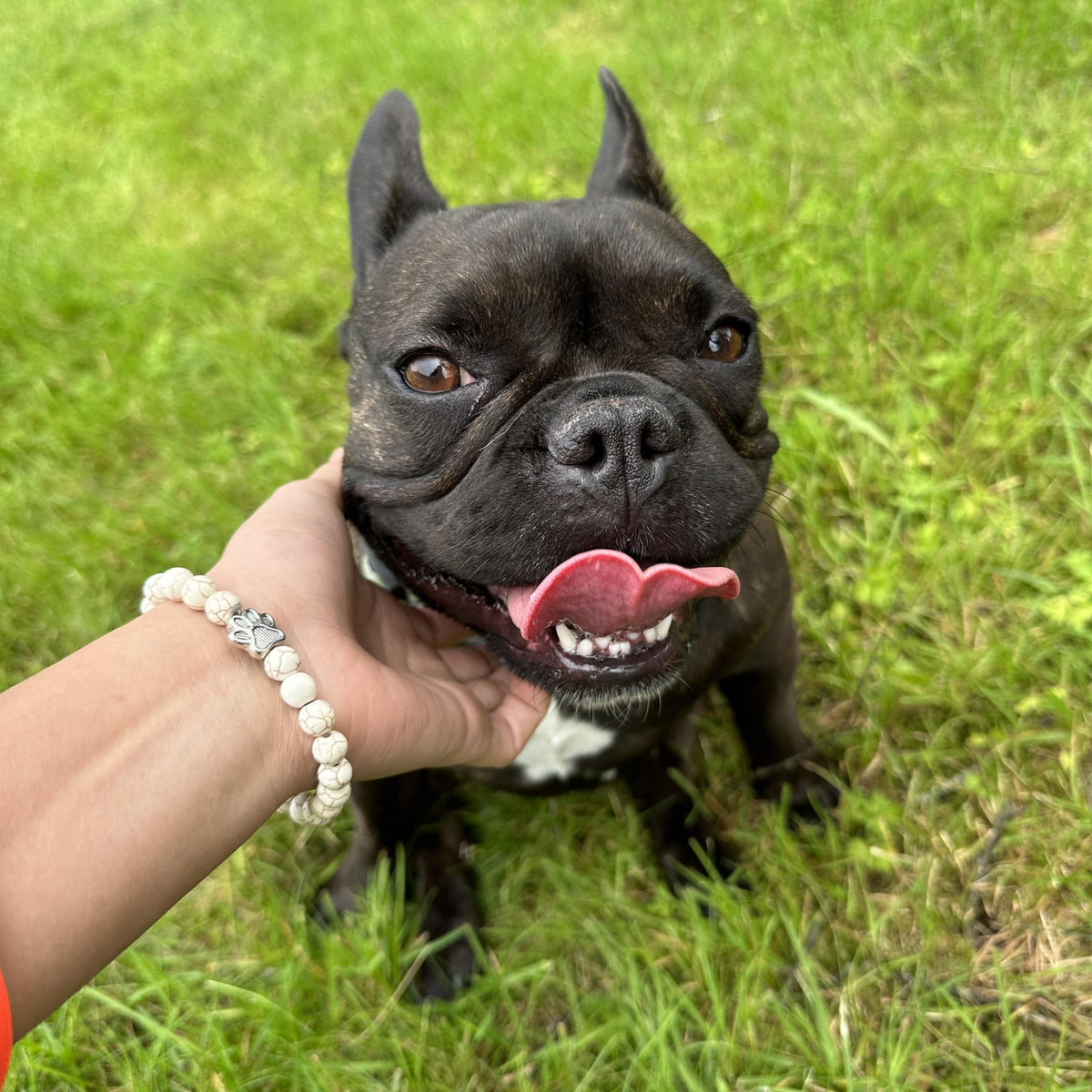 I Love ALL Dogs Bracelet