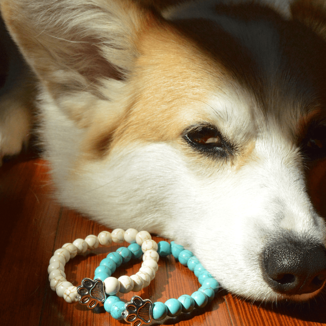 I Love ALL Dogs Bracelet