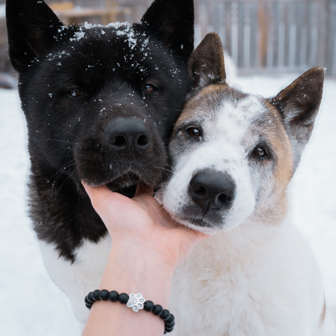 I Love ALL Dogs Bracelet