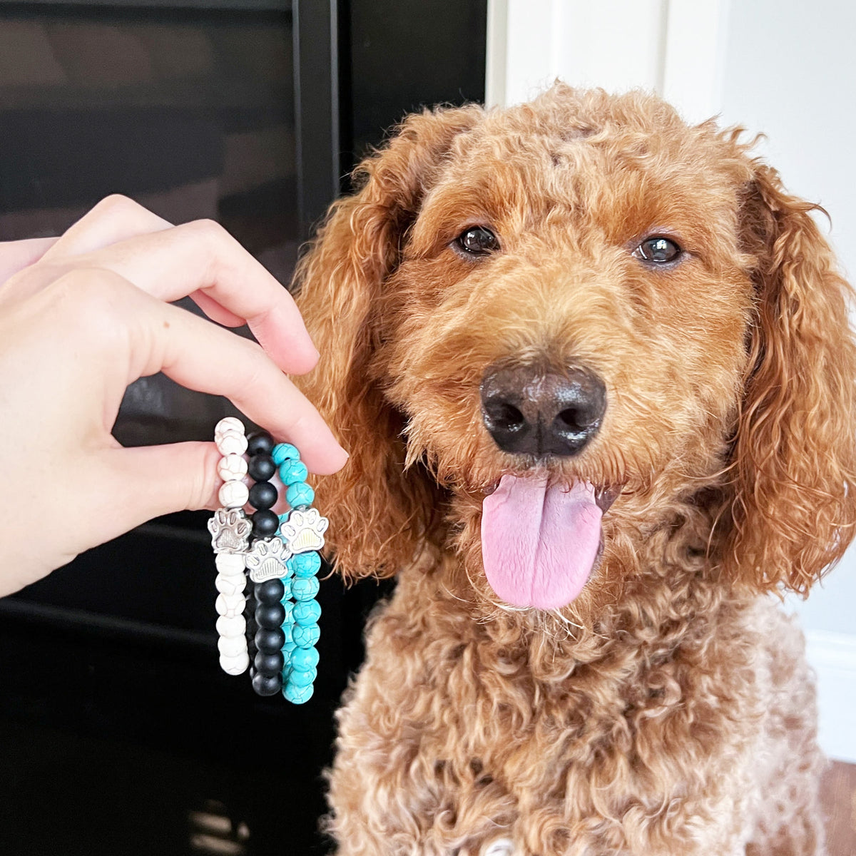 I Love ALL Dogs Bracelet