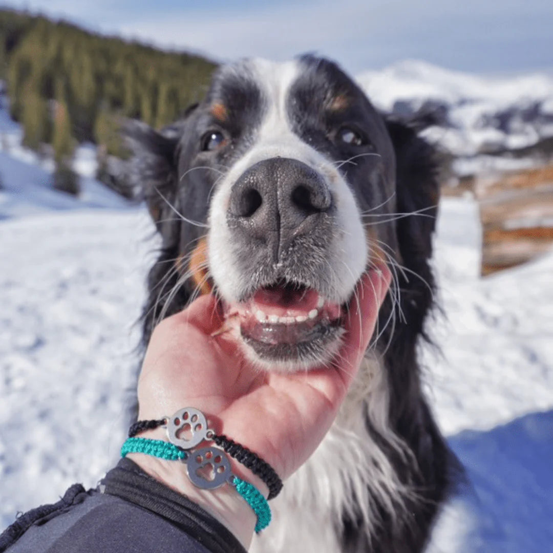 Paws For Hope Bracelet
