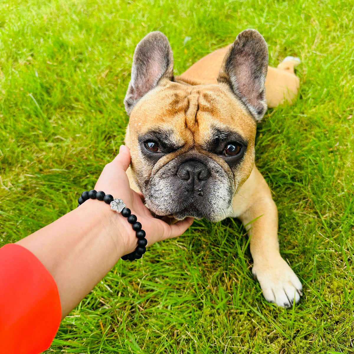 I Love ALL Dogs Bracelet