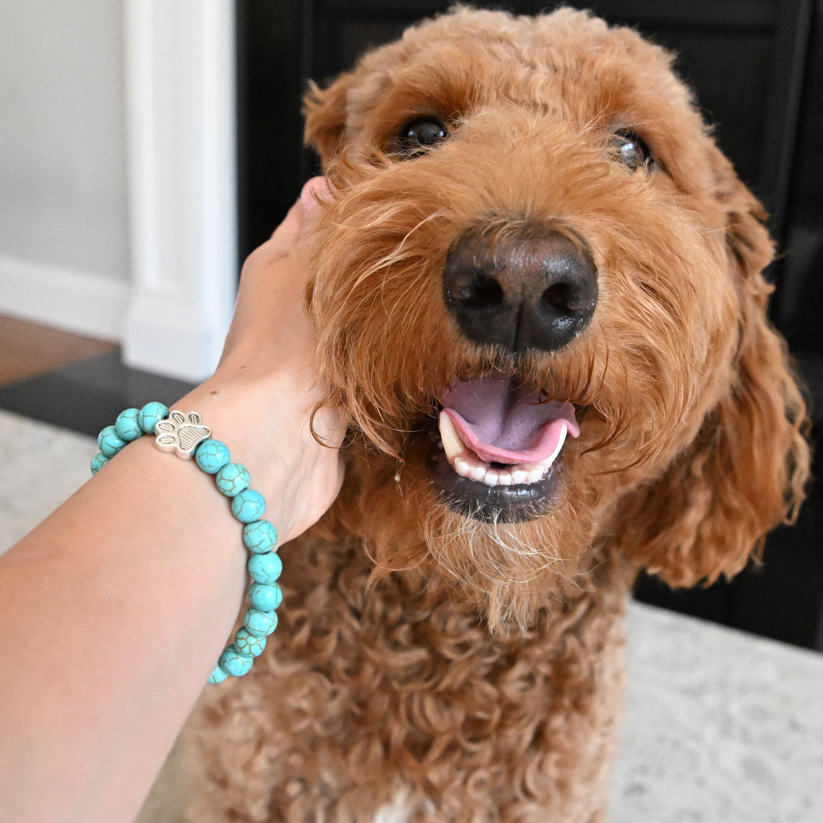 I Love ALL Dogs Bracelet